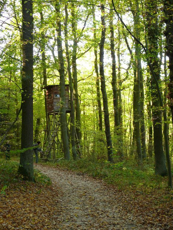 Ferienwohnung Bappert Oberwesel Bagian luar foto